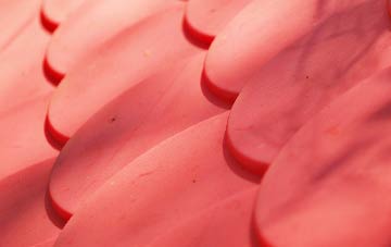 Garth Trevor plastic roof costs